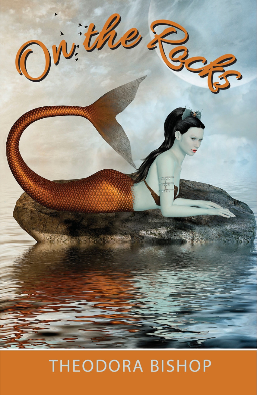 On the Rocks Book cover