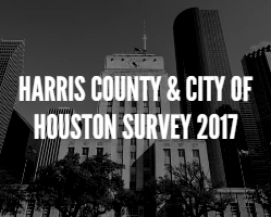 Harris County and City of Houston 2017 Report