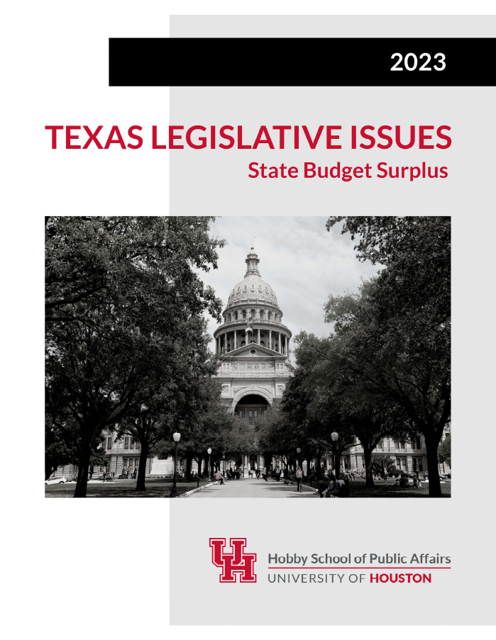 Texas Leg Issues 2023 Report