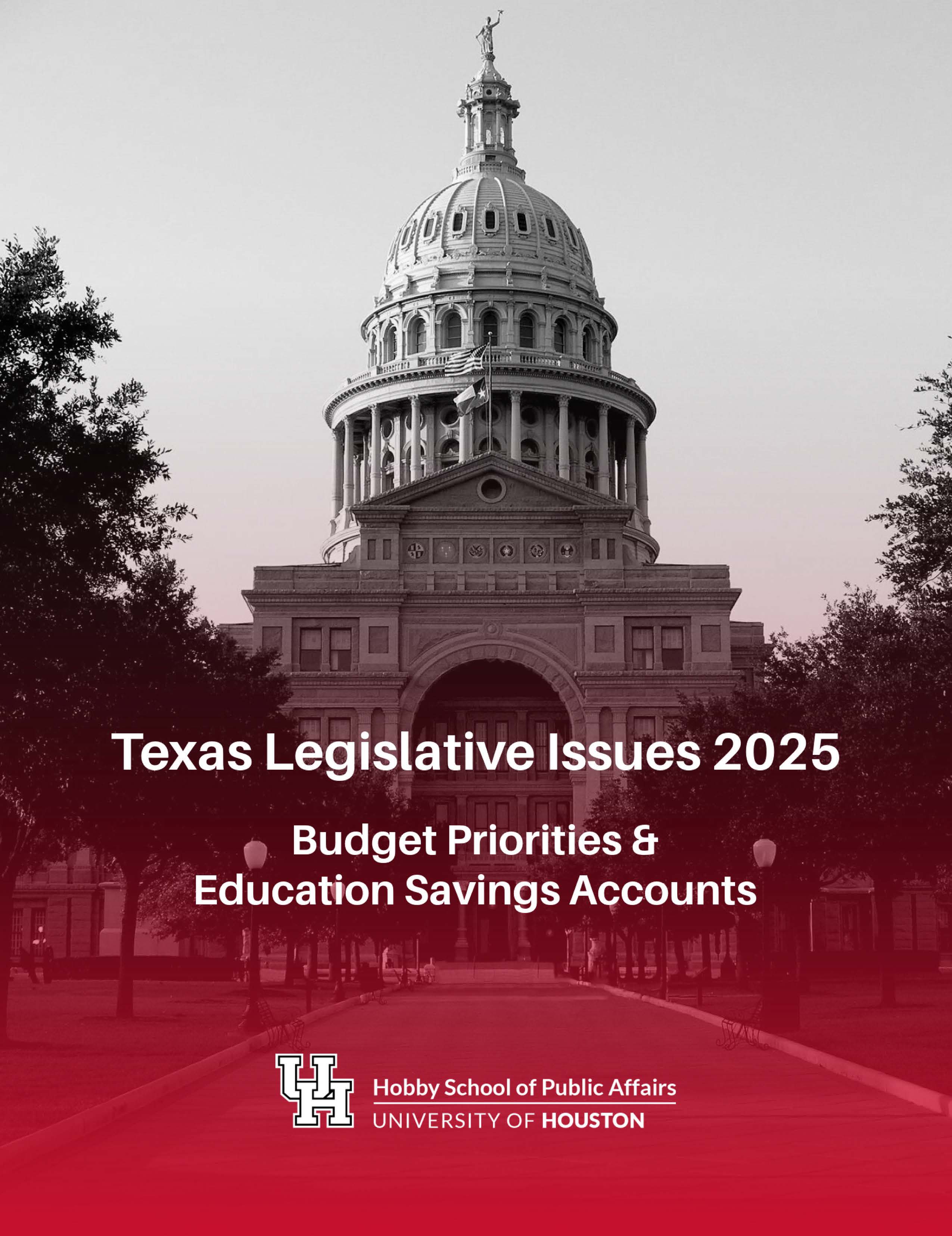 Texas Leg issues 2025 report cover