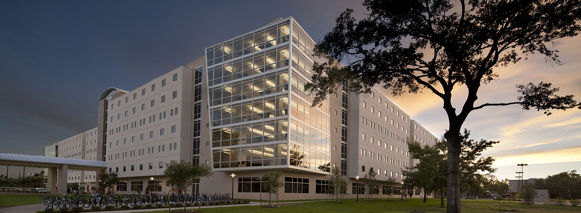 cougar village