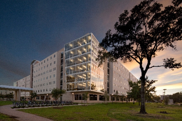 Cougar Village I
