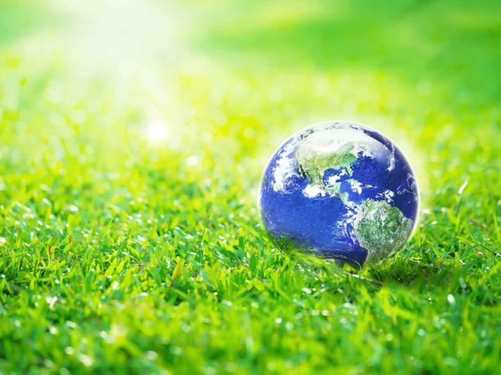 Grass with a miniature globe of earth resting on it