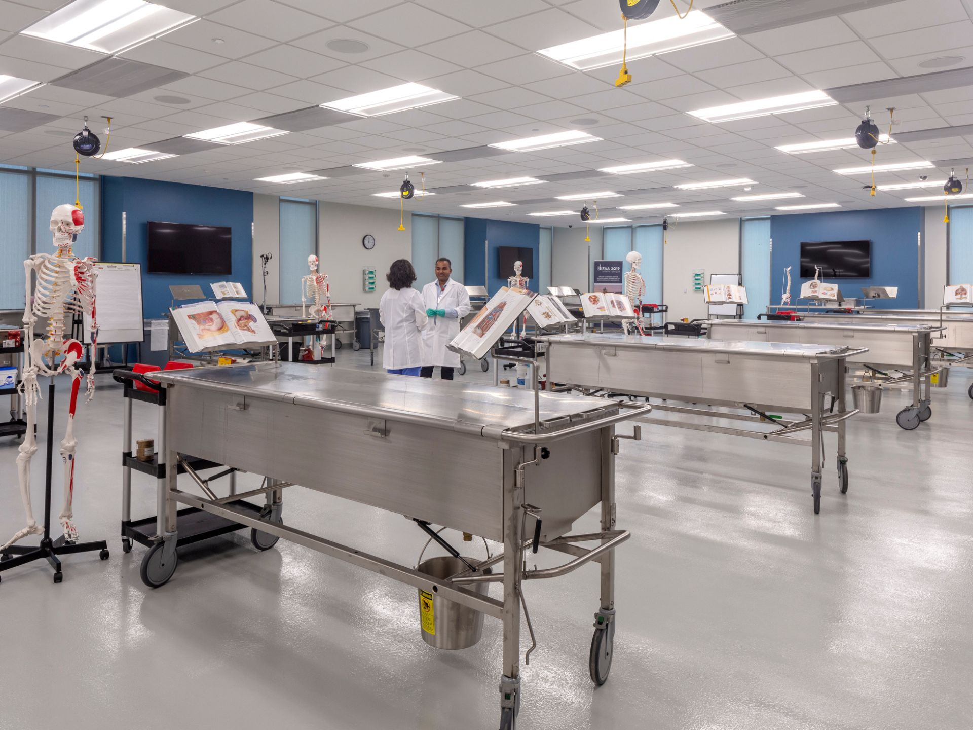 Anatomy Lab