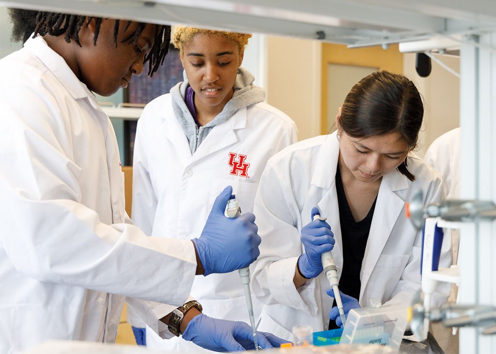 STEM RISE Students