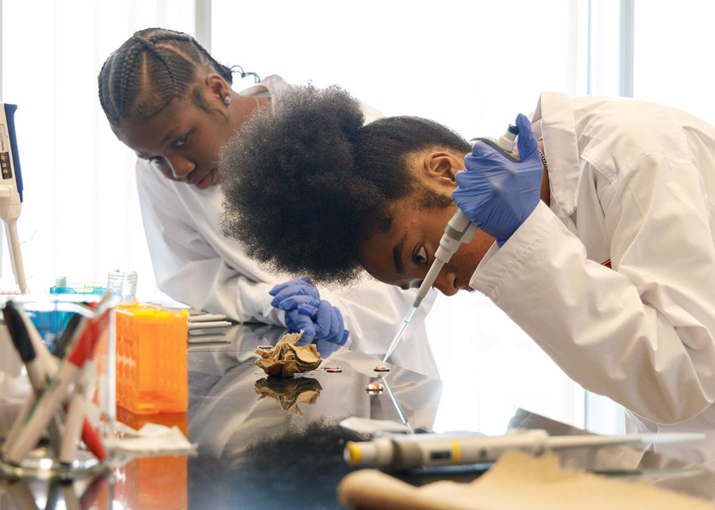 STEM RISE Students