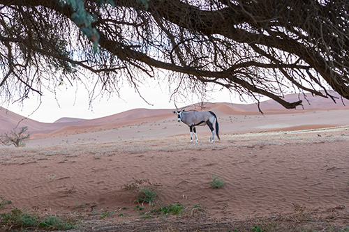 /socialwork/news/news-releases/2022-notes-from-namibia-global-social-work-bromfield/namibiav3.jpg