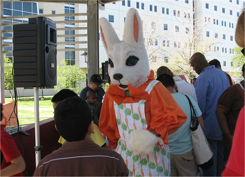 bunny at egg hunt