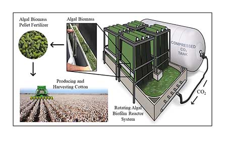 Composite image that diagrams the proposed process of an Algae Scraper that uses carbon dioxide to grow algal biomass to fertilize crops.